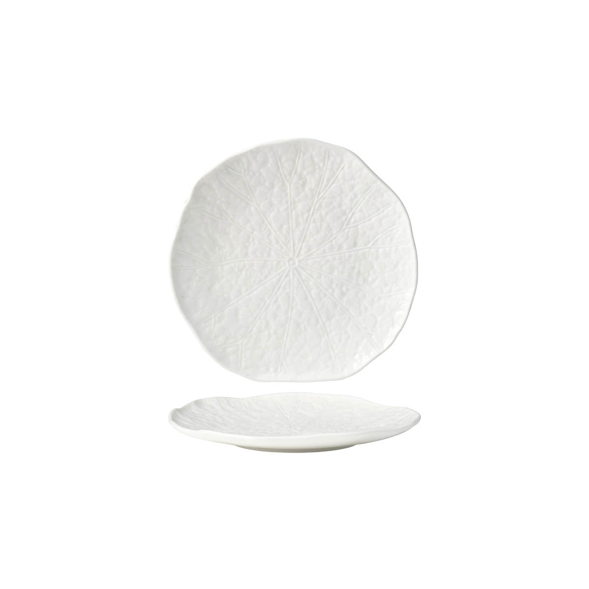 Fusion Lotus Coupe Plate 203mm White
